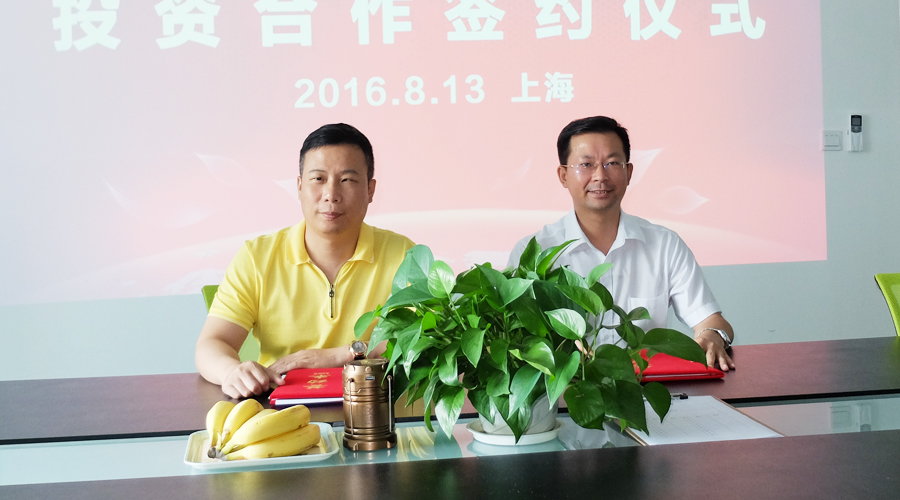 中金国泰集团与上海正硅新能源公司签署投资合作协议